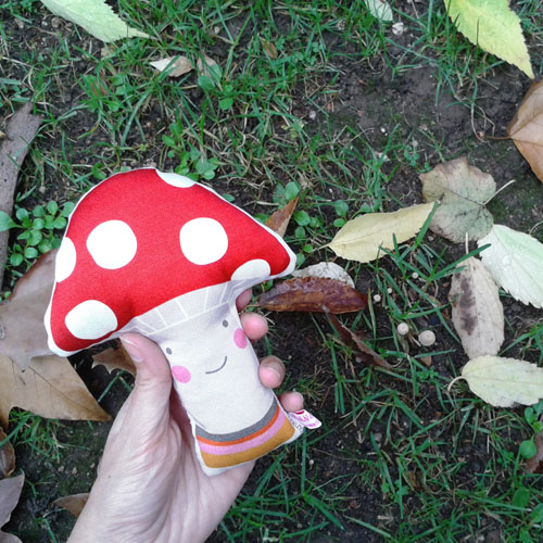 rattle mushroom by PinkNounou -1